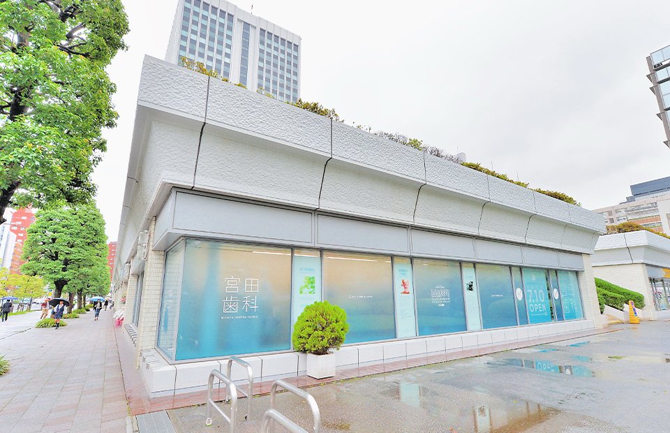 ギャラリー写真