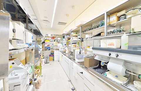 ギャラリー写真