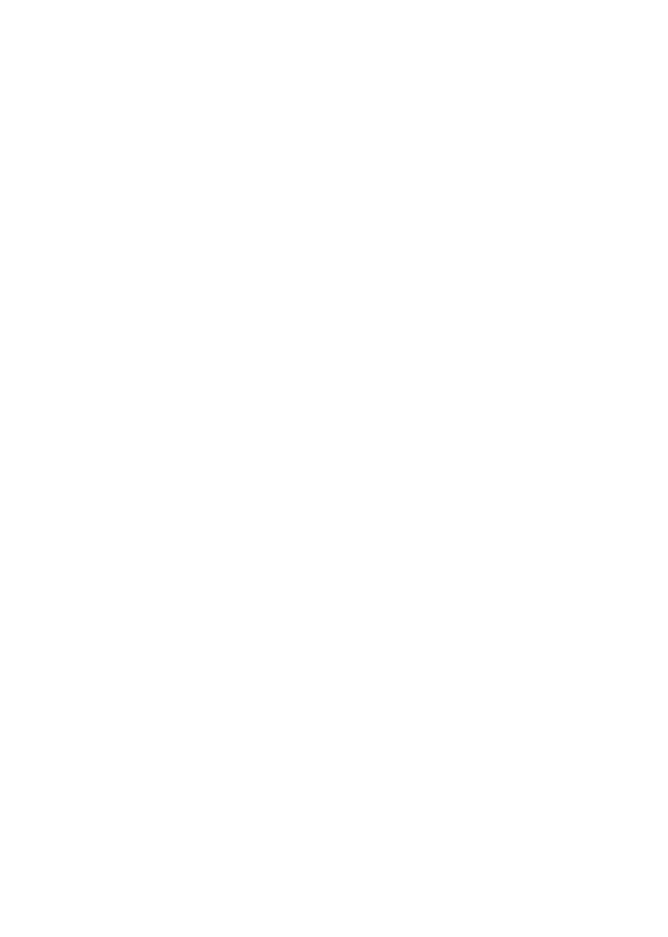 フロー_A_06 飾り