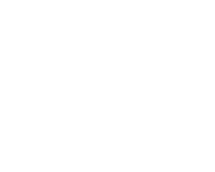 フロー_A_06 飾り