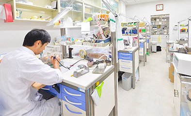 歯科技工士